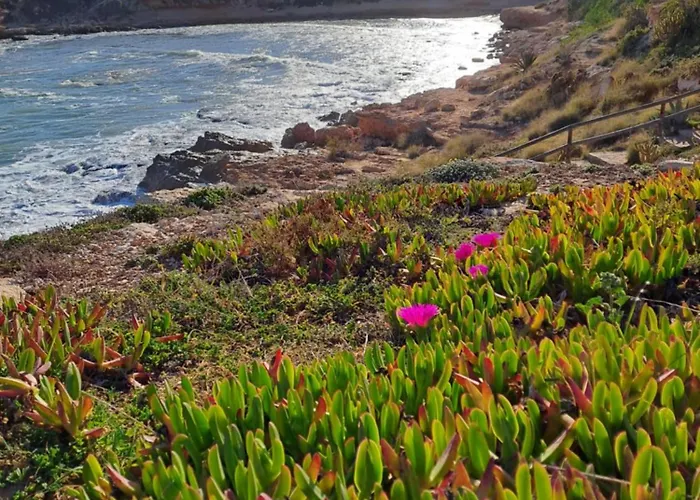 Apartment Vista Del Sol