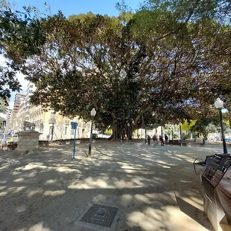 Vista Del Sol לה מנגה דל מר מנור